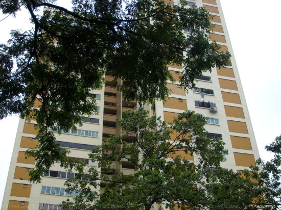 Blk 103 Jalan Rajah (Kallang/Whampoa), HDB 5 Rooms #405972